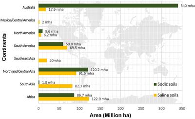 Salt-Tolerant Plant Growth Promoting Rhizobacteria for Enhancing Crop Productivity of Saline Soils